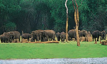 Kerala hill country landscape - Punnagai Tourism tour package