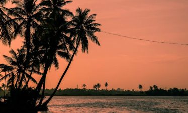 Scenic backwater houseboat near Kochi - Punnagai Tourism Kerala package