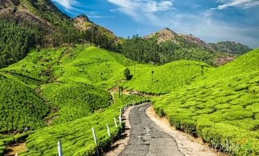 Scenic Kerala tour destination - Punnagai Tourism package